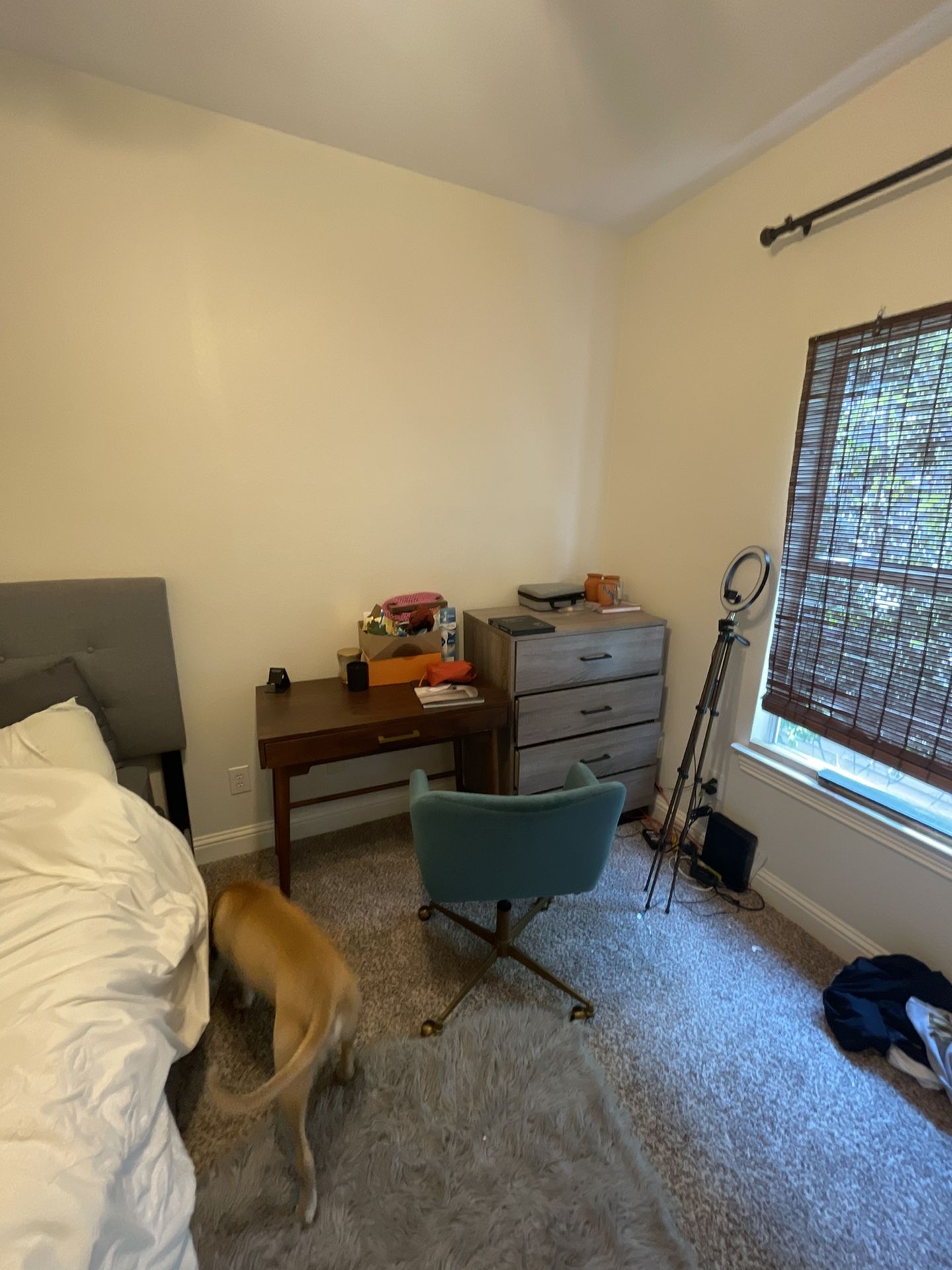 Bed, Dresser, Desk