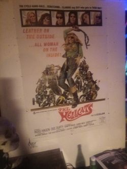 Vintage Original Movie Poster " The Hellcats" 1960s Biker Sexploitation Film