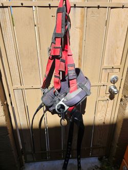 Safety Harness