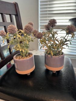 Home Decor