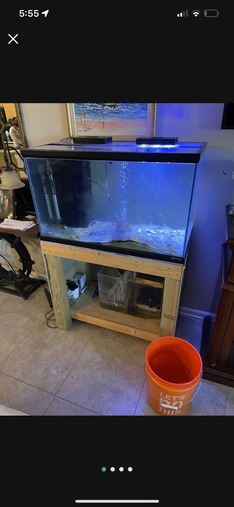 65 Gallon Fish Tank Aquarium