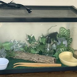 Ten Gallon Reptile Tank Top Opening