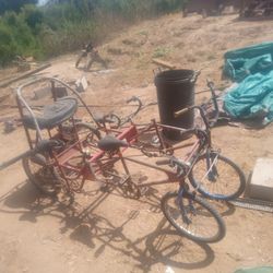 Four Person Custom Bike