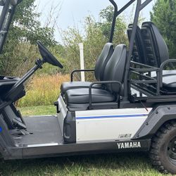 Golf Cart Umax Rally