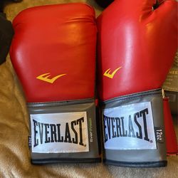 Everlasting Boxing 