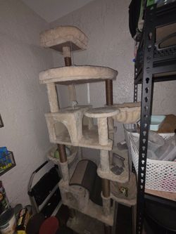 Cat house