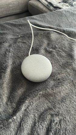 Google Nest Mini