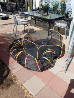 Cat playroom enclosed for outdoor play