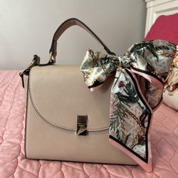 Aldo Blush Pink Bag