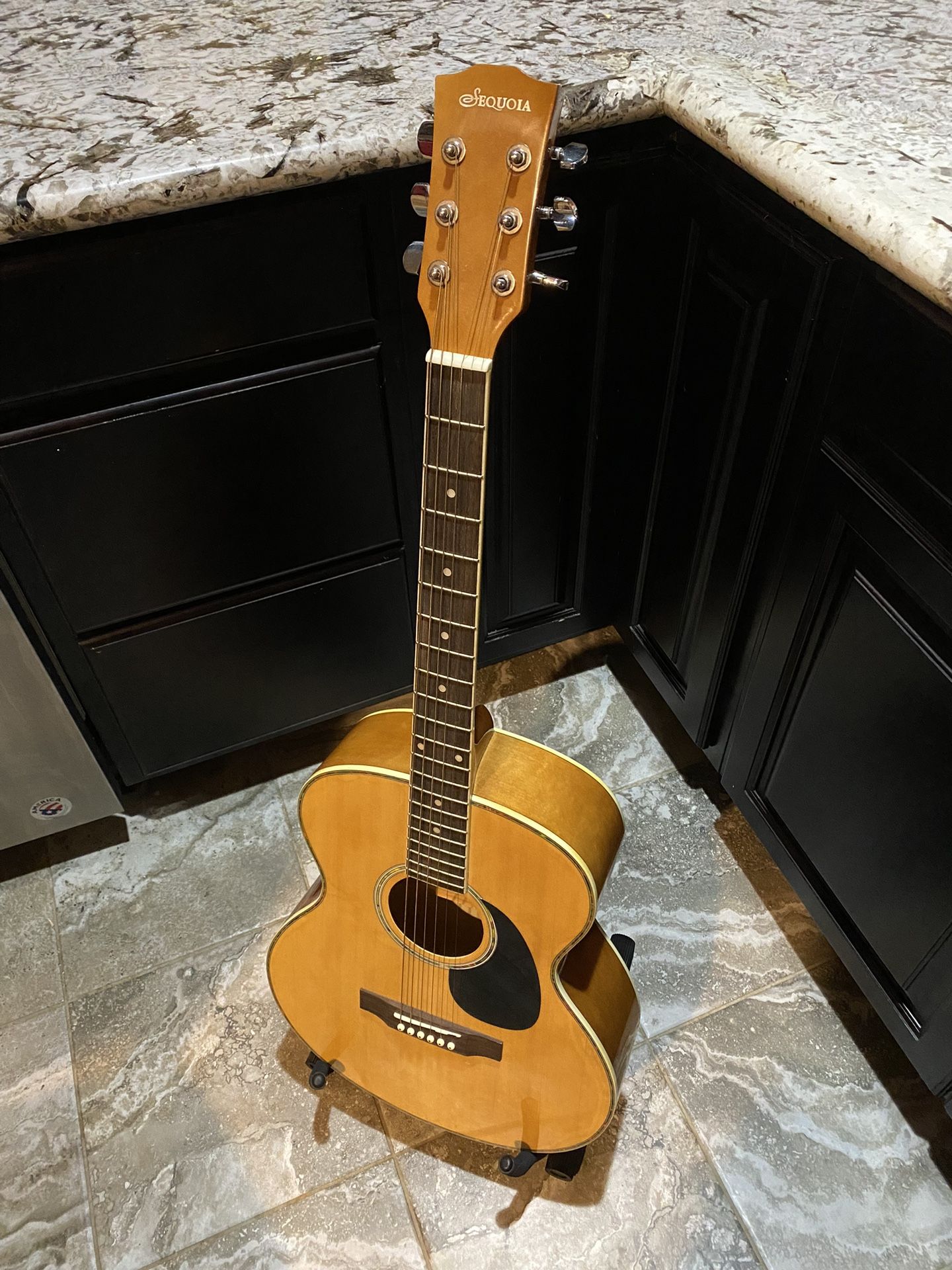 Sequoia AGW4015NA Acoustic Guitar