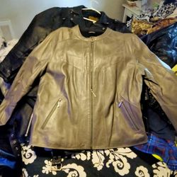 Women's Italian Riding Jacket