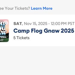 1 VIP Camp Flog Gnaw Ticket+Merch