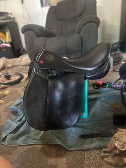 Duett all purpose saddle price reduced