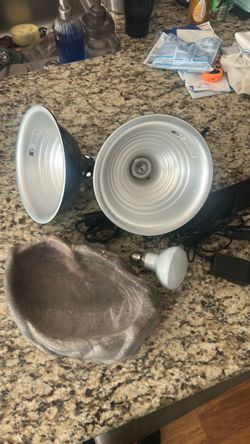 Reptile lights and large water dish