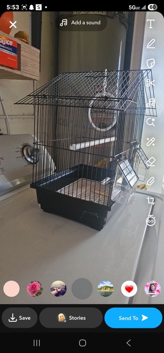 Bird Cage