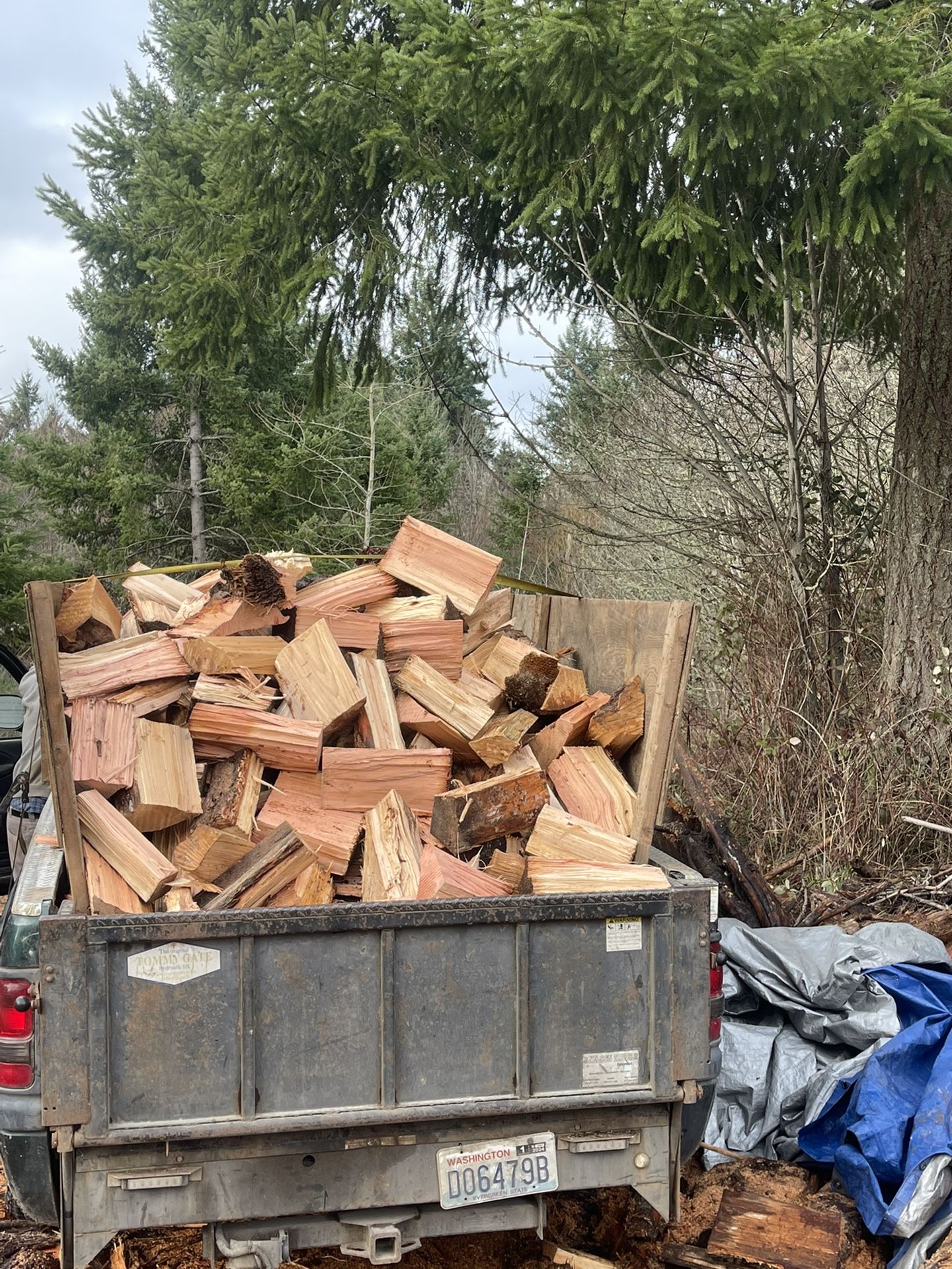 Split Firewood