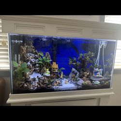 Used 20 Gallon