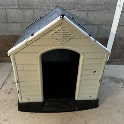 Dog House 