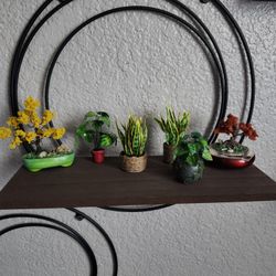 Handmade Miniature Plants 7 Dollars Each