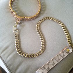 Gold Cuban Link  D&S Pet Collar And Leash With Gucci Strap