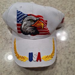 USA PATRIOTIC HAT