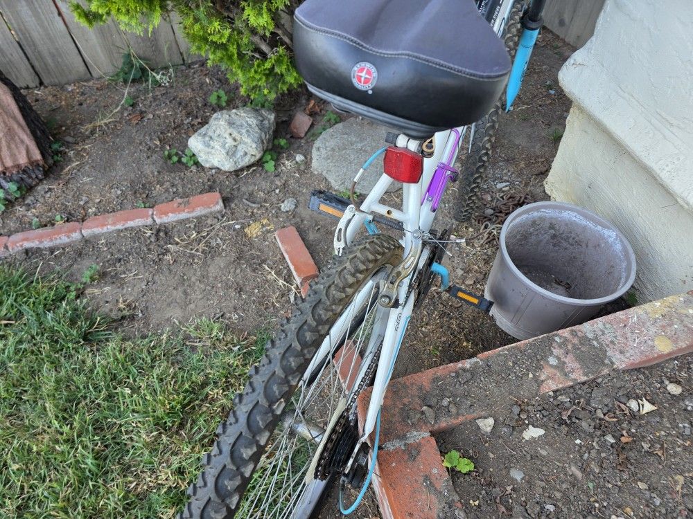 Female Bike