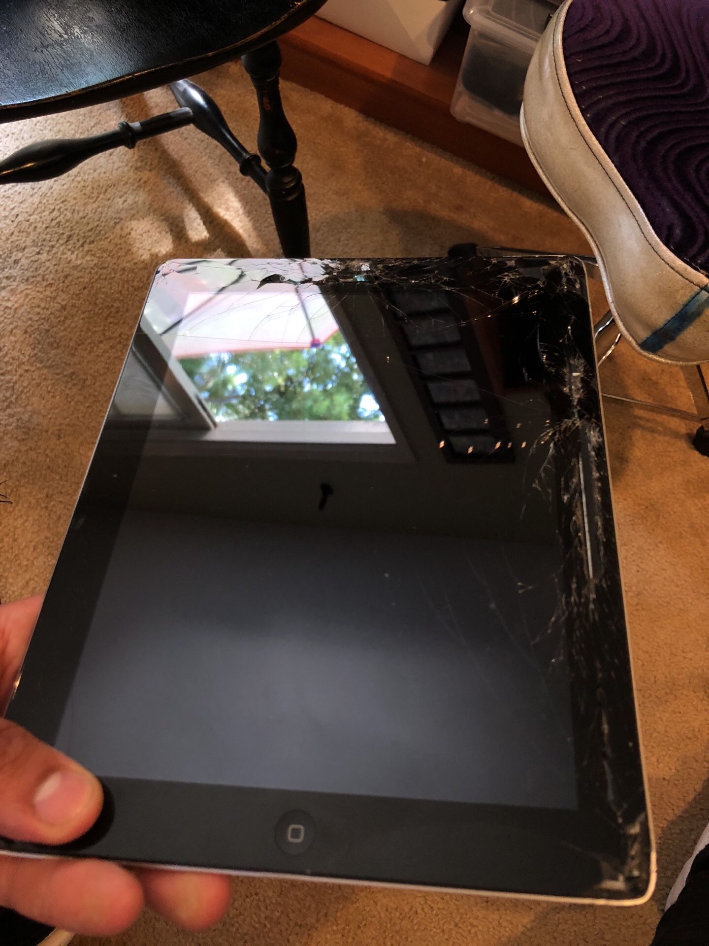 iPad
