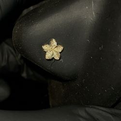 10kart Lily Nose Piercing 