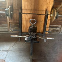 Weights And Bench