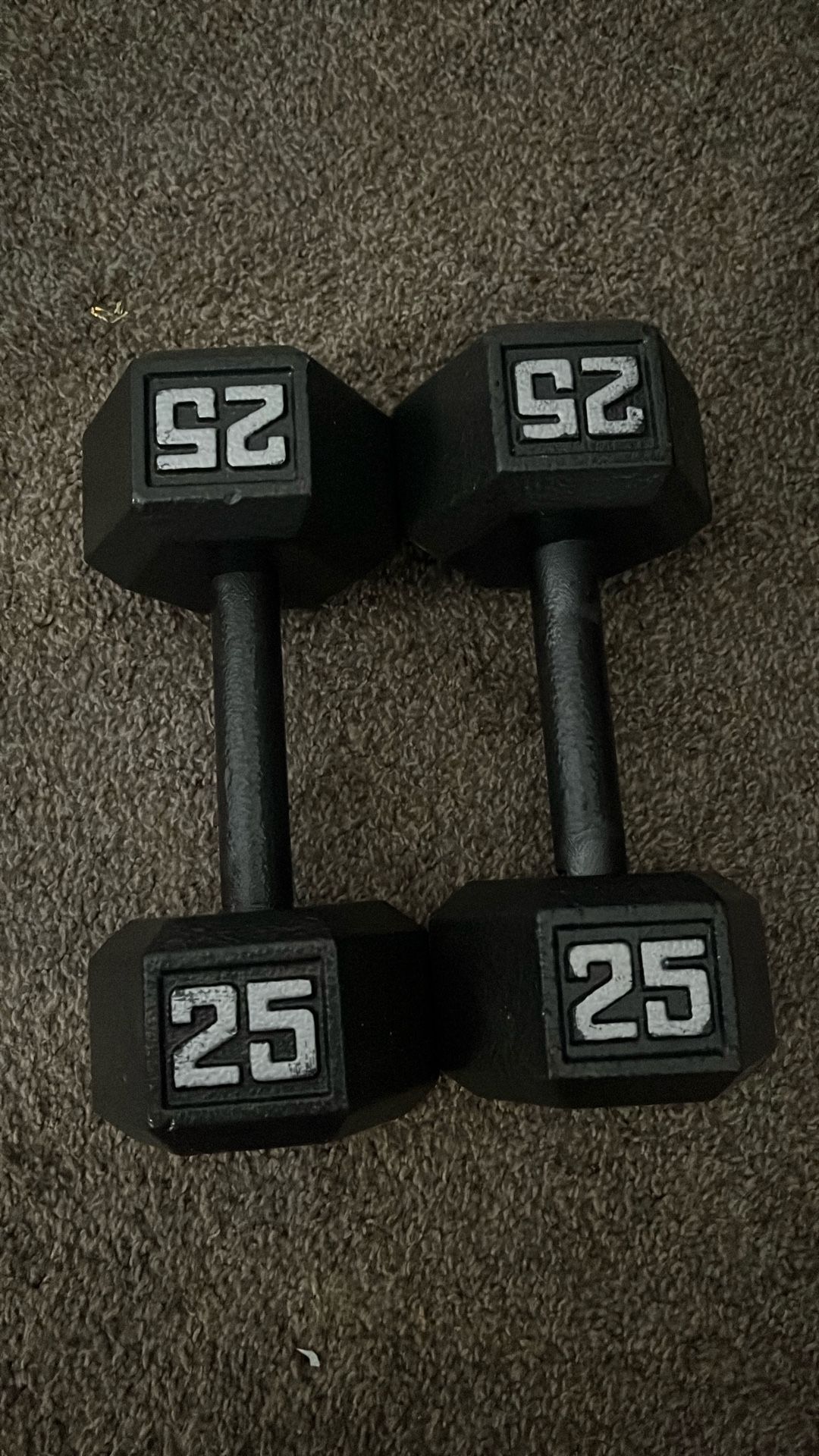 25Dumbells Pair