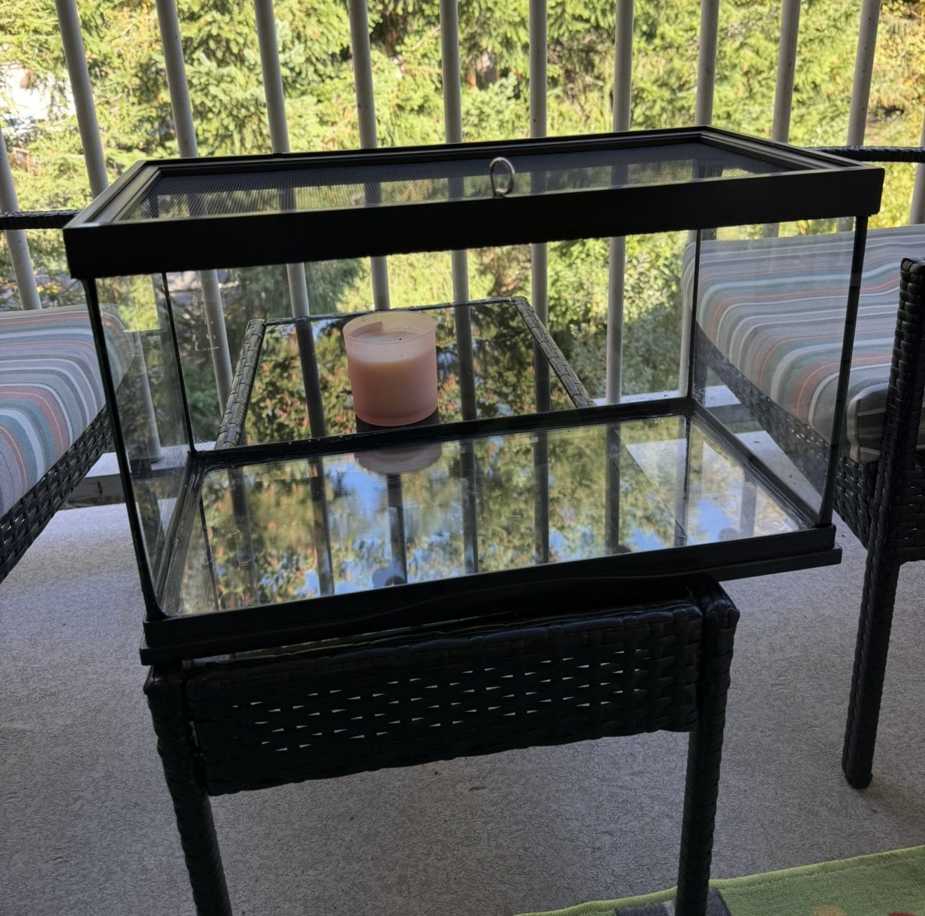 terrarium for lizard