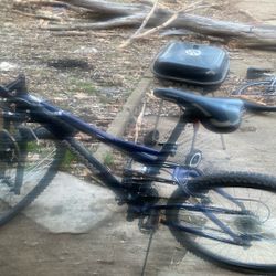 Mongoose Mountain Bike