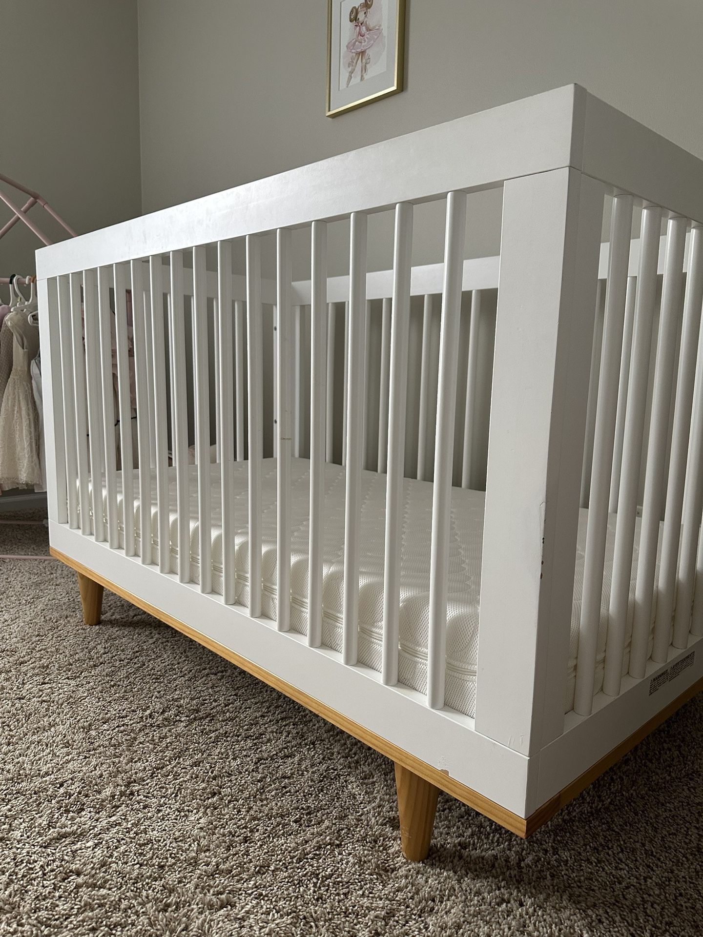 Baby Crib and Newton mattress