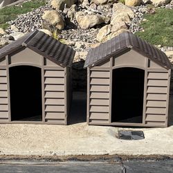 Dog House 