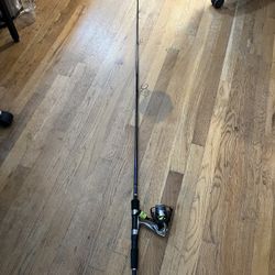 Fishing Rod And Reel 