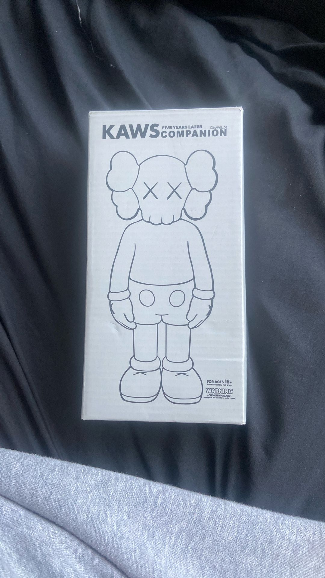 Kaws Figure