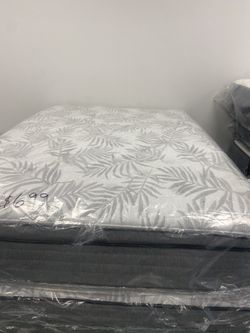 Sealy Posturepedic Silver Pine 