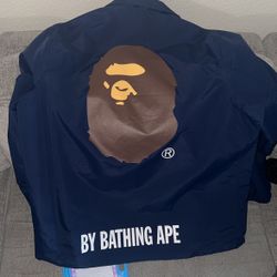 Bape