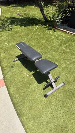 Incline and Flat Workout Bench