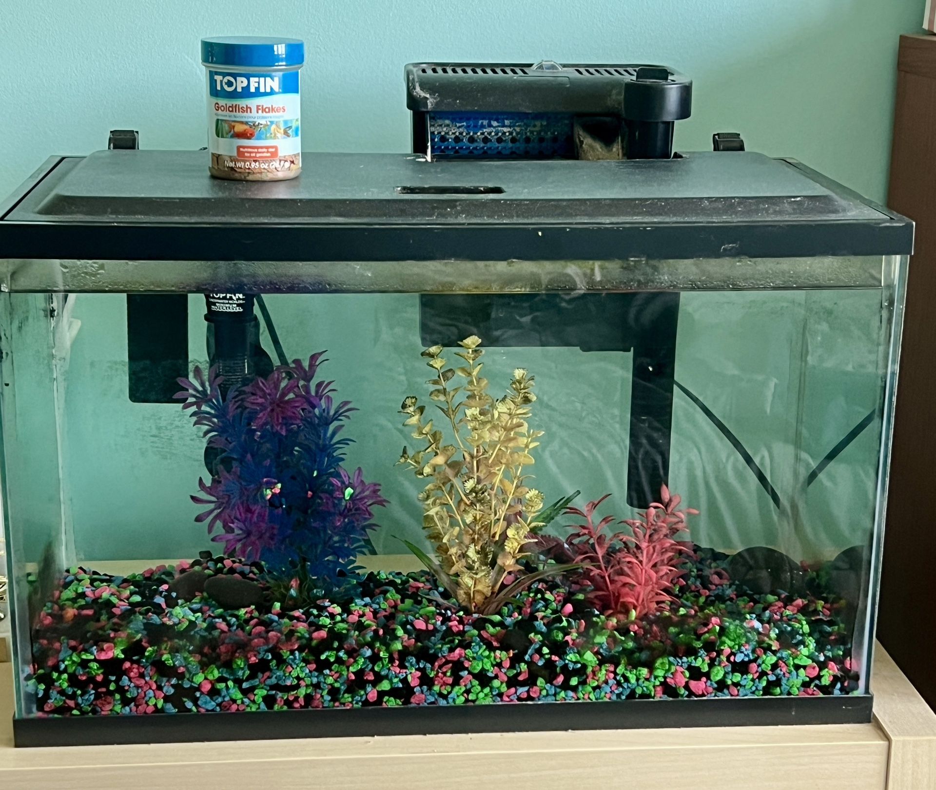 10 gallon Fish Tank Kit $60