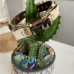 Luxury Dog Collar With A Matching Leash 