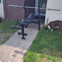 Bench + Bar