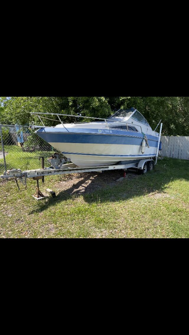 Sea Ray Boat + Trailer