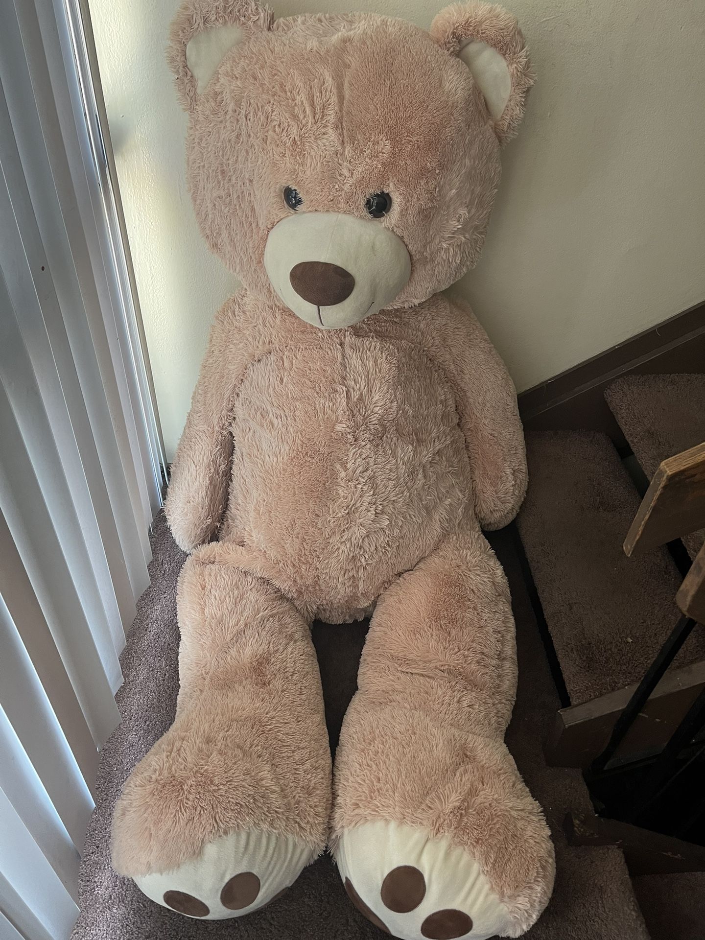 Big Teddy Bear