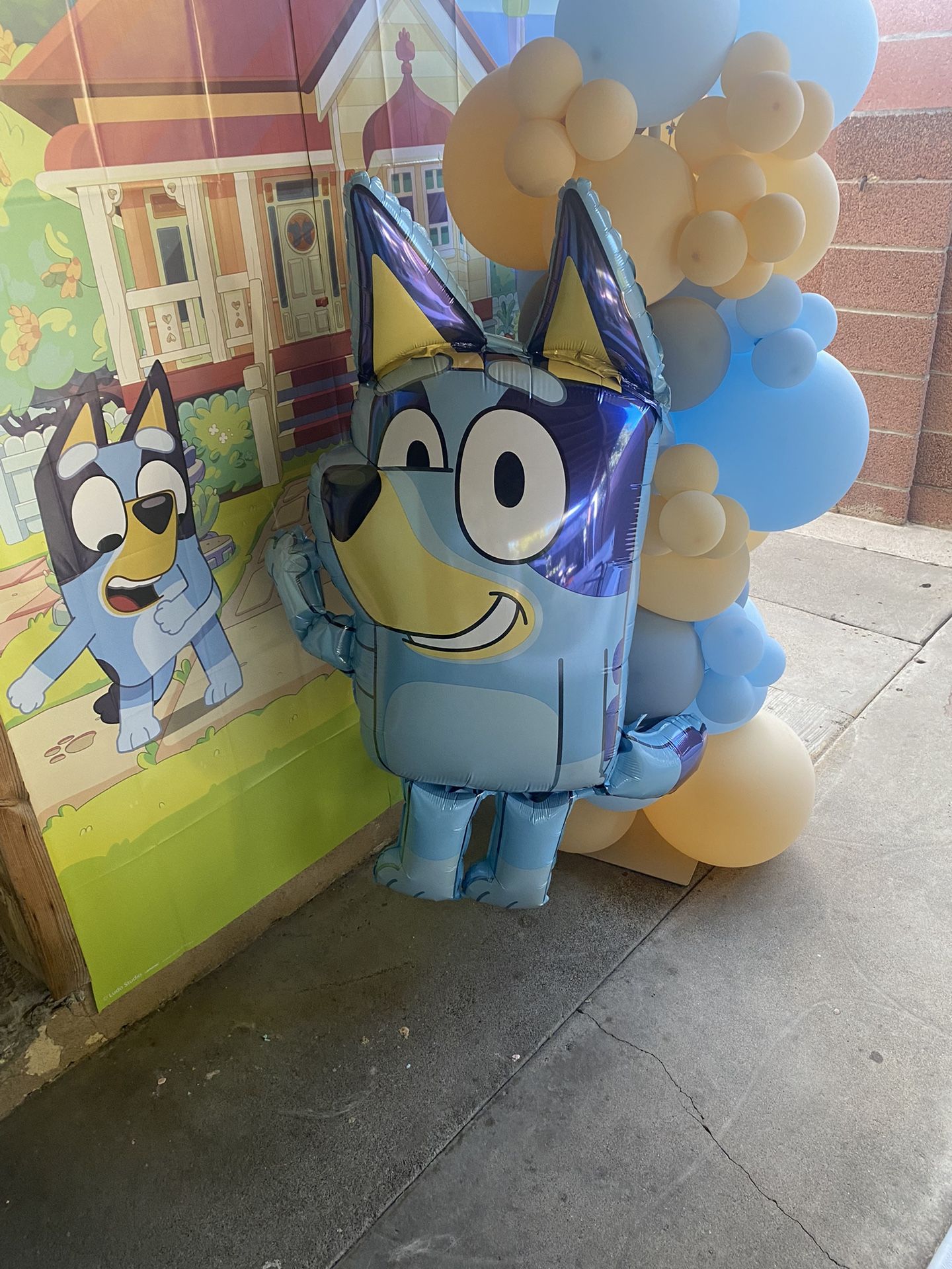 Bluey Air-walker Balloons