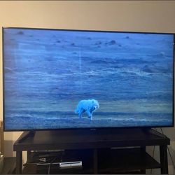 65 Inch Smart Tv With Remote 