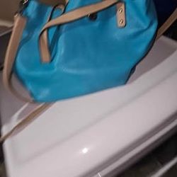 Blue And Tan Purse