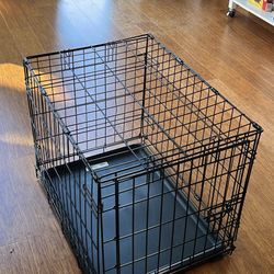 dog crate