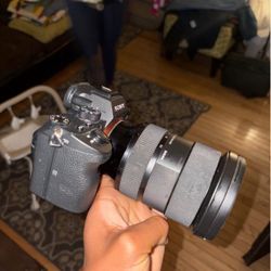 SONY a7iii + Sigma 24-70mm 2.8