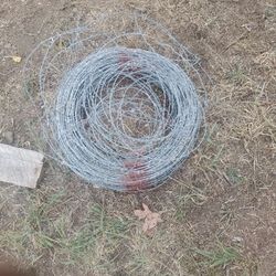 Barb Wire 